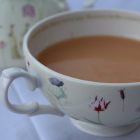 david's tea: creme caramel rooibos- a review
